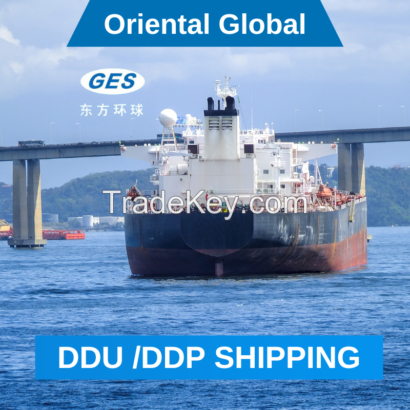 Fast Door to Door Full Container Direct Delivery Logistics Service Provider Sea Freight Agent From China to USA