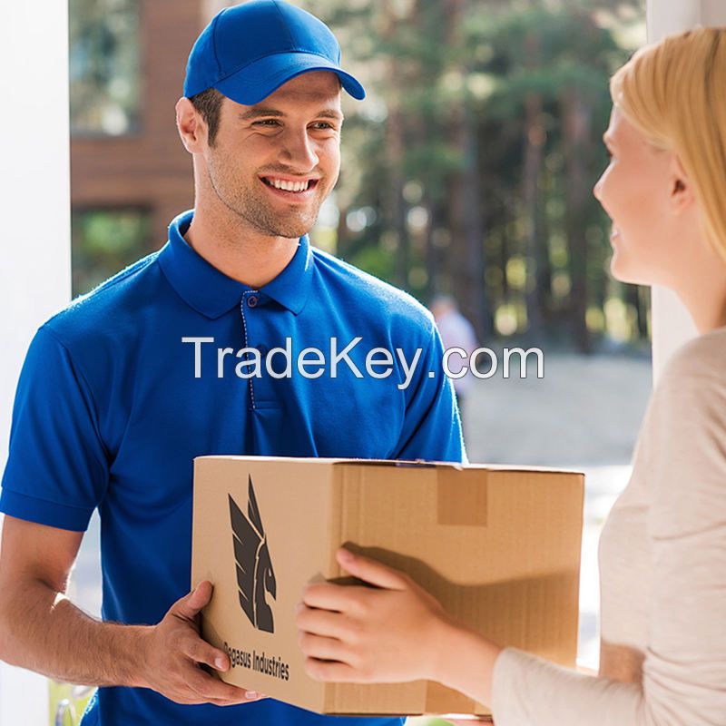 Most Affordable Canadian Mason Regular Class Air Sea Freight Forwarder Shipping Agent UPS Door to Door Delivery in Canada LCL+Express Product