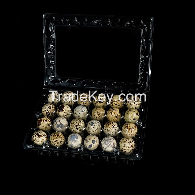 Recyclable Plastic Quail Egg Tray Clear Quail Egg Cartons Plastic Stackable Egg Storage Box for Farm Supermarket Kitchen