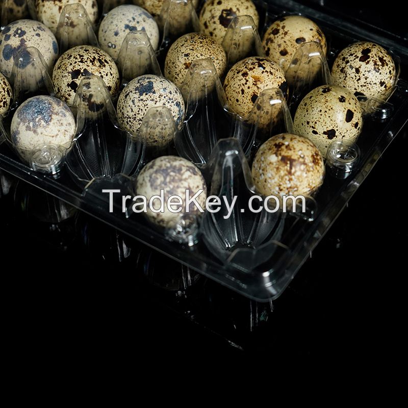 Recyclable Plastic Quail Egg Tray Clear Quail Egg Cartons Plastic Stackable Egg Storage Box for Farm Supermarket Kitchen