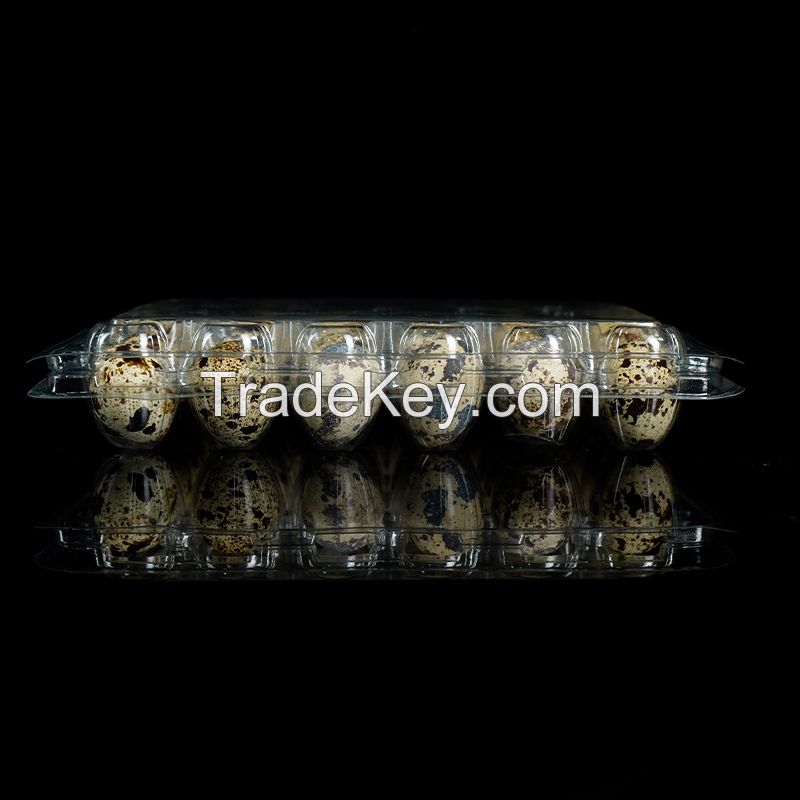 Recyclable Plastic Quail Egg Tray Clear Quail Egg Cartons Plastic Stackable Egg Storage Box for Farm Supermarket Kitchen