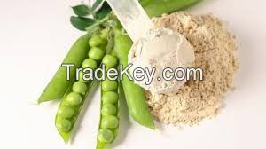 High-Quality Pea Protein Isolate 80% | Non-GMO & Gluten-Free