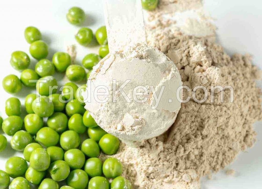 High-Quality Pea Protein Isolate 80% | Non-GMO & Gluten-Free