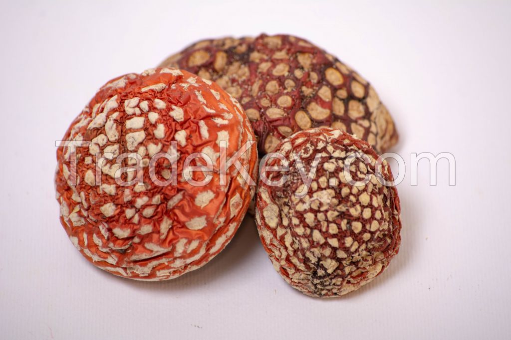 Amanita Muscaria dried caps