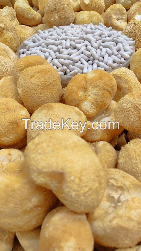 Lion's Mane dried fruit body (Hericium erinaceus)