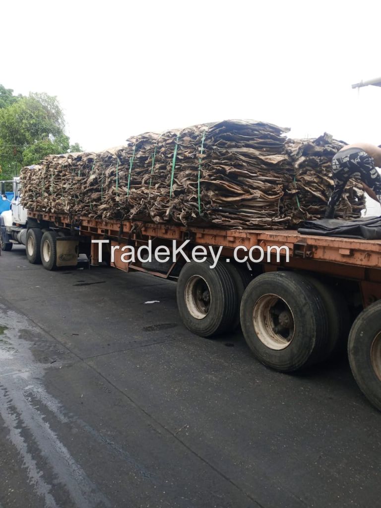 Dry hides and salted hides