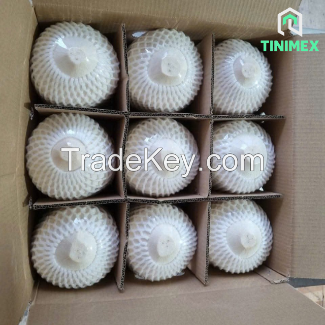 Vietnam Fresh Coconut