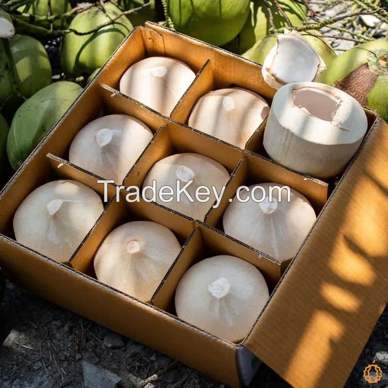 Vietnam Fresh Coconut