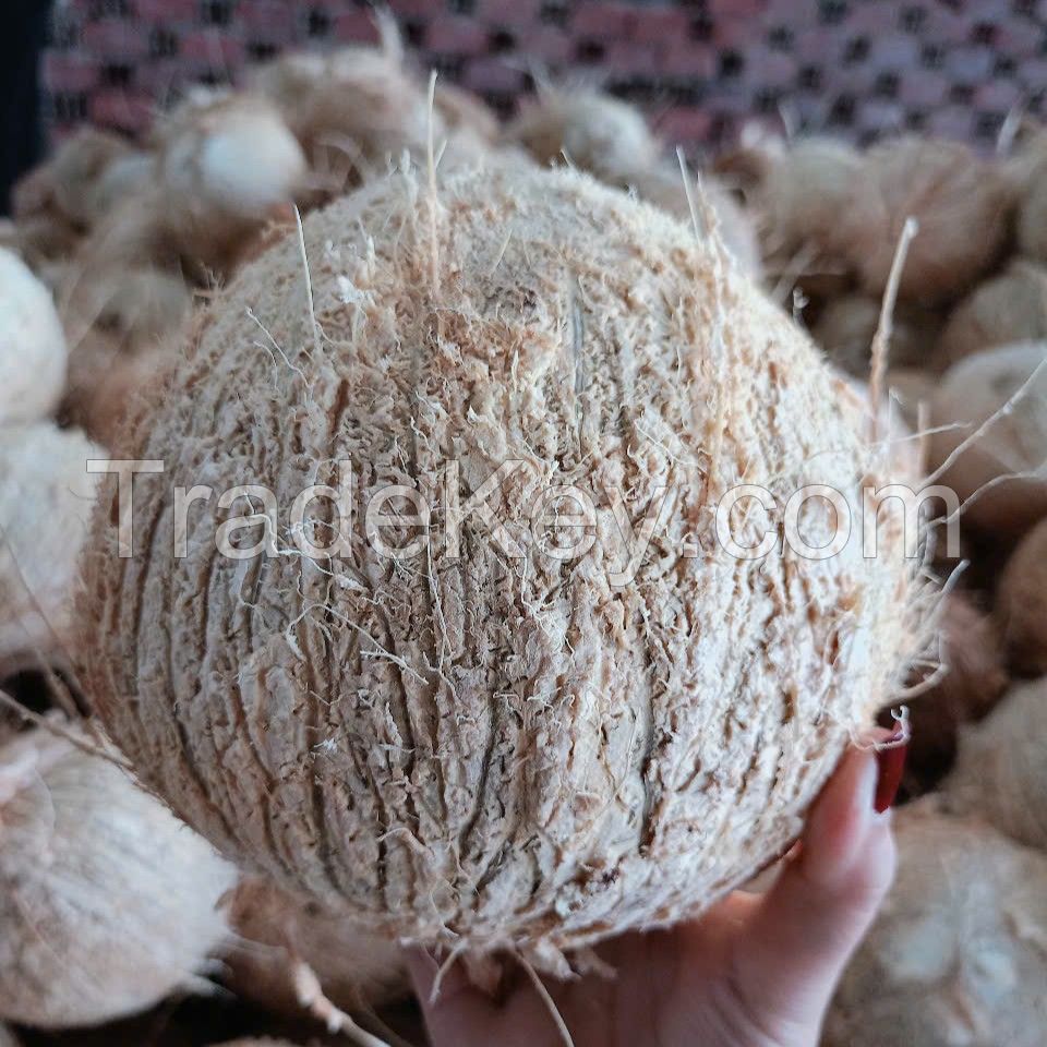 Vietnamese De-husked Coconut | Bulk Food Grade | Premium Quality