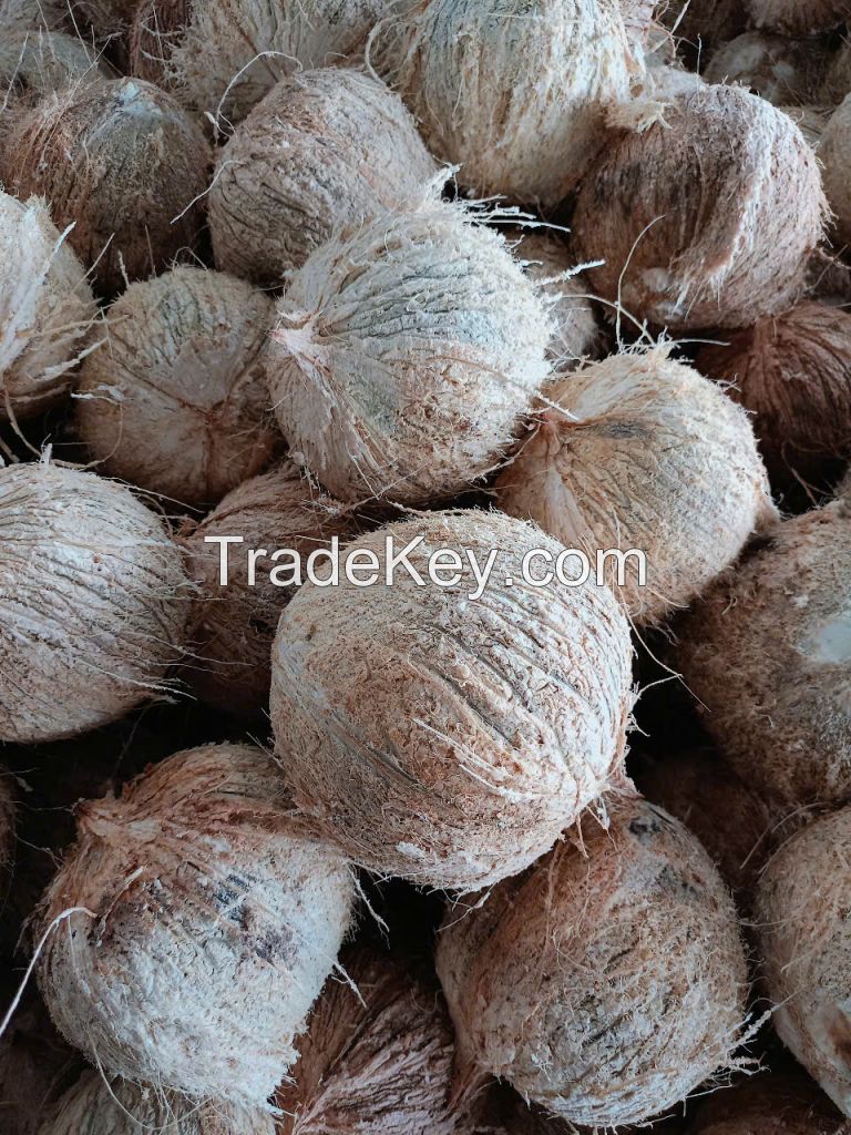Vietnamese De-husked Coconut | Bulk Food Grade | Premium Quality