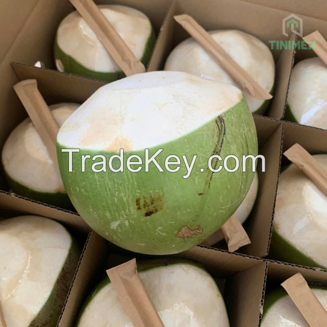 Vietnam Siam Green Husk Coconuts | Consistent Quality B2B Source | Global Export