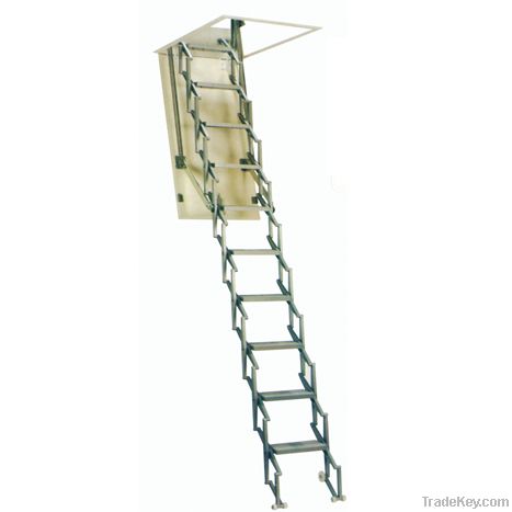 loft ladder