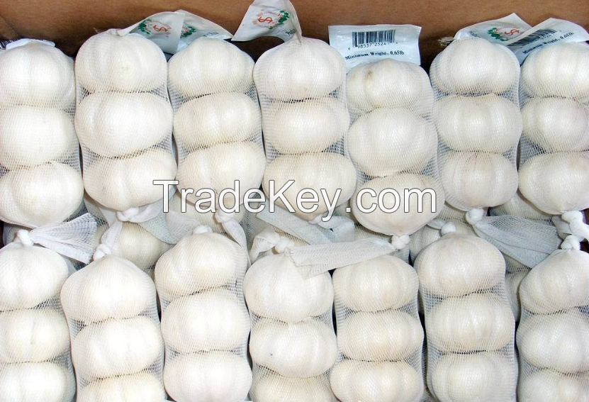 garlic pure white