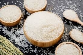 High Quality Thai Jasmine Rice for Food Industry