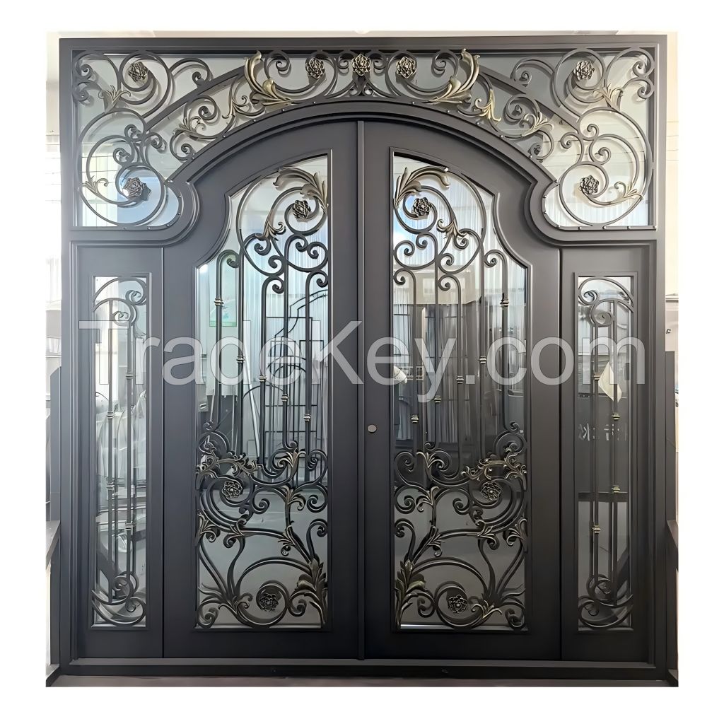 Entrance door with glass and iron steel for best quality in China