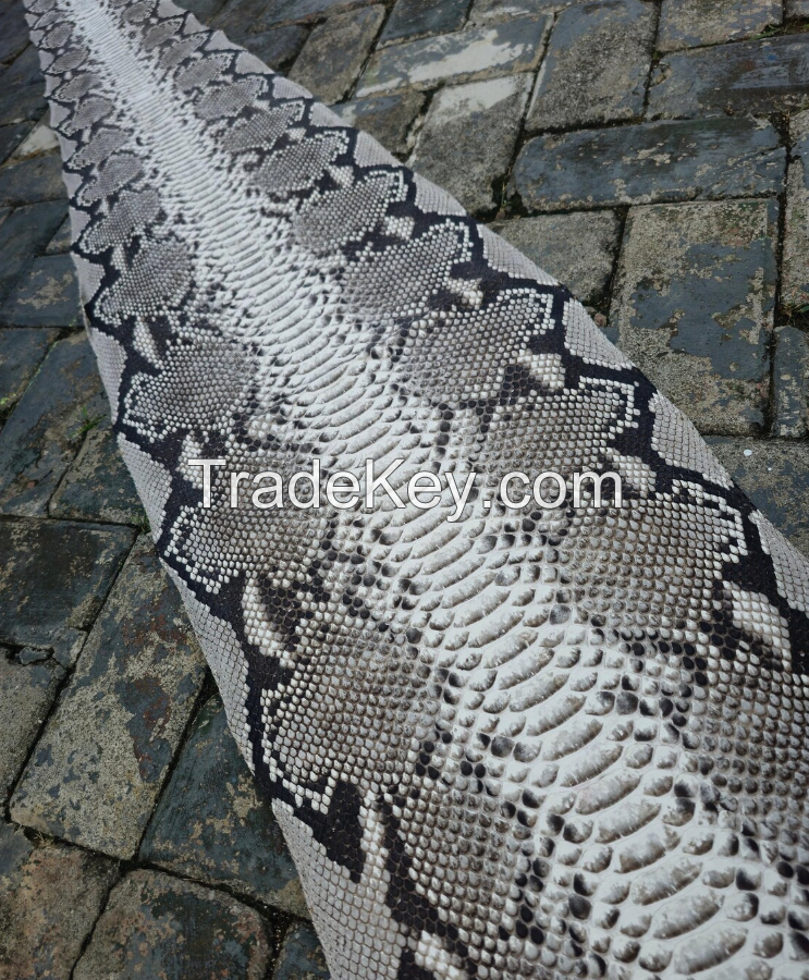 Genuine Python Snakeskin Hide