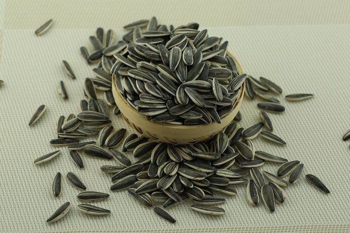 Black Striped Inshell Sunflowers