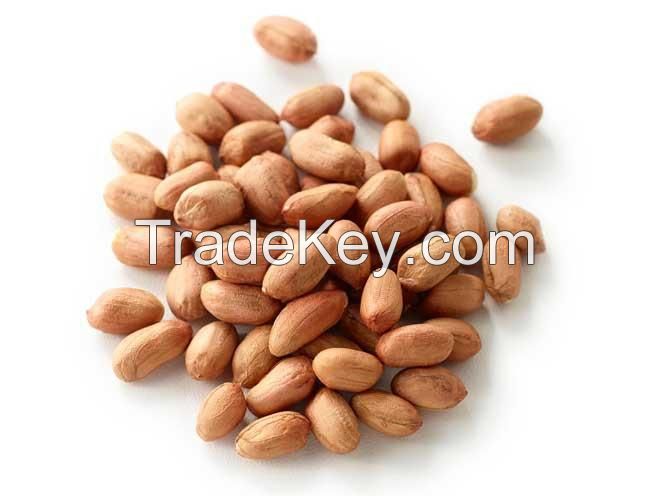 100% natural Various size  delicious peanuts wholesale delicious raw groundnuts packing in bags ground nut peanuts in shell