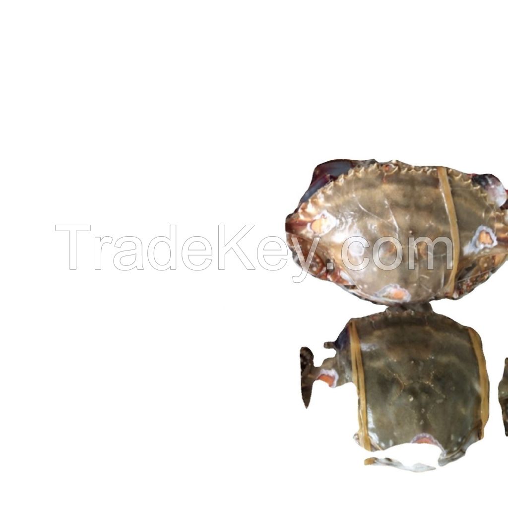 alaskan king crab fat delicious seafood frozen crab legs live canadian red king crabs style packaging alaskan king crab