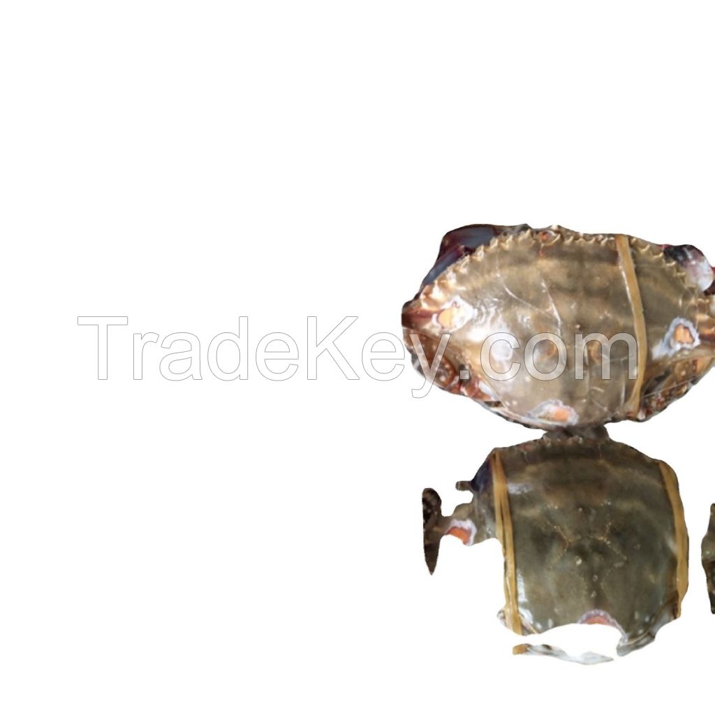 alaskan king crab fat delicious seafood frozen crab legs live canadian red king crabs style packaging alaskan king crab