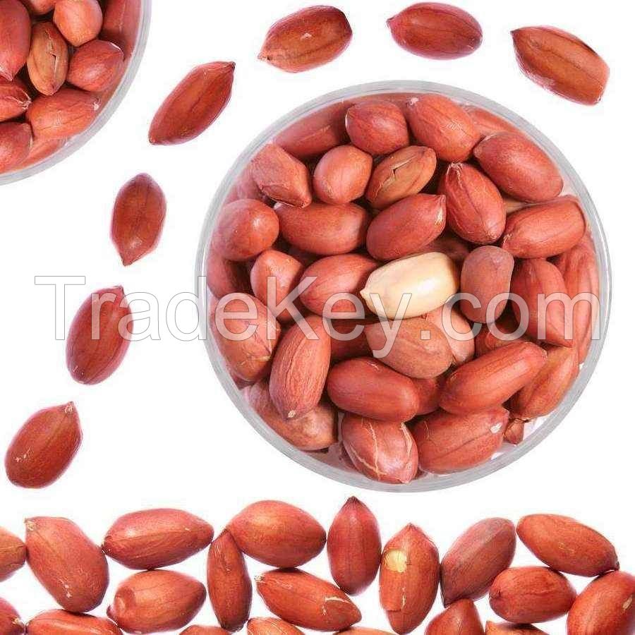 100% natural Various size  delicious peanuts wholesale delicious raw groundnuts packing in bags ground nut peanuts in shell