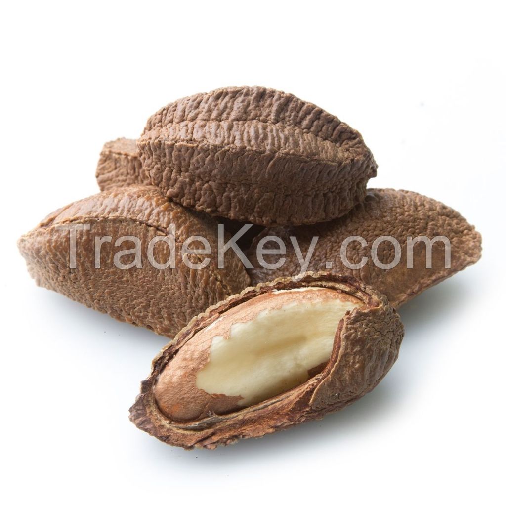 Best Quality Custom Made Wholesale Factory Price Brazil Nuts