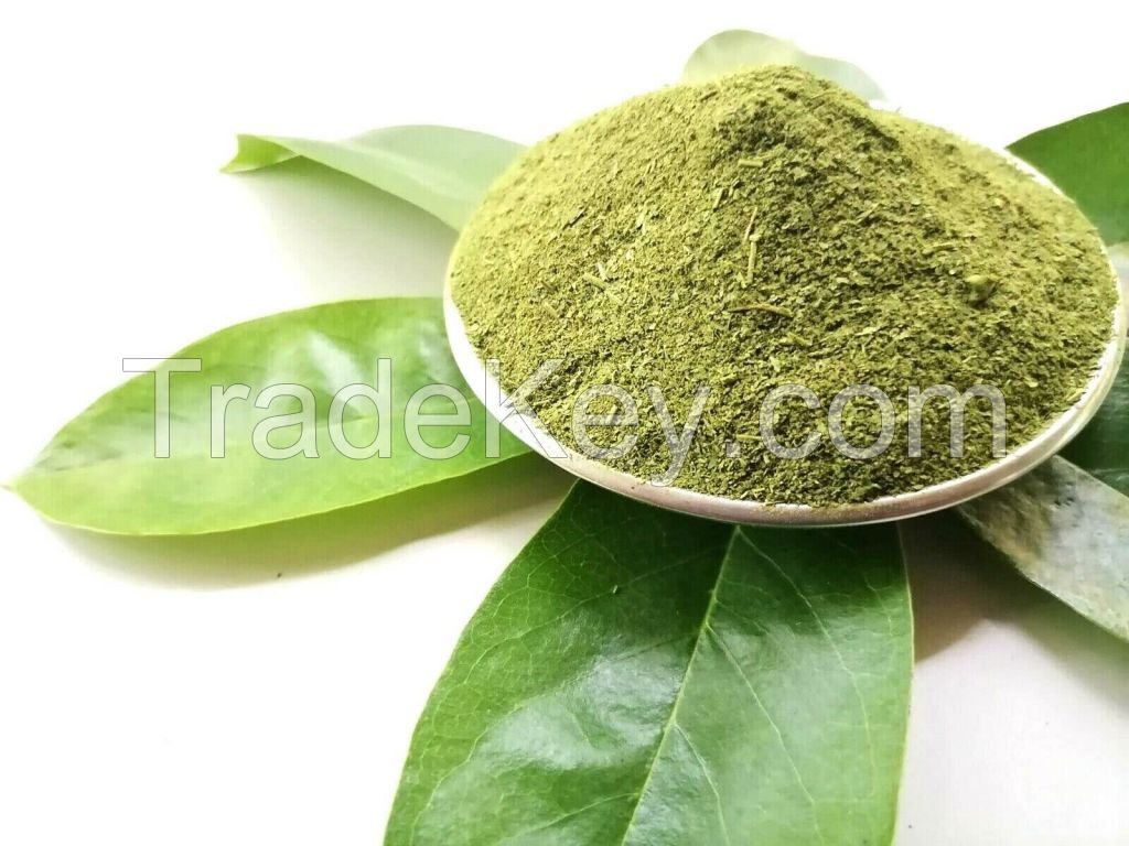 100% PURE SOURSOP LEAF POWDER / ANTI-INFLAMMATORY / CLEAN LABEL / SUSTAINABLE