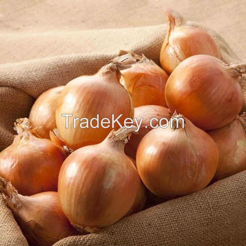 New Crop Red Yellow Onion Fresh Vegetables Fresh Onion Wholesale Sale Fresh Onions