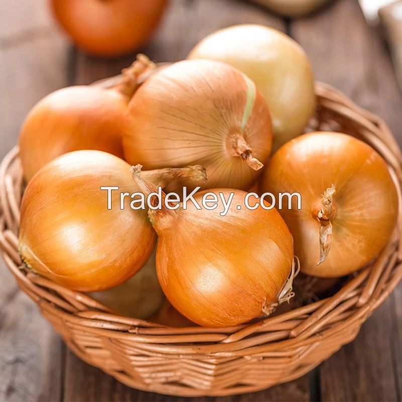 New Crop Red Yellow Onion Fresh Vegetables Fresh Onion Wholesale Sale Fresh Onions