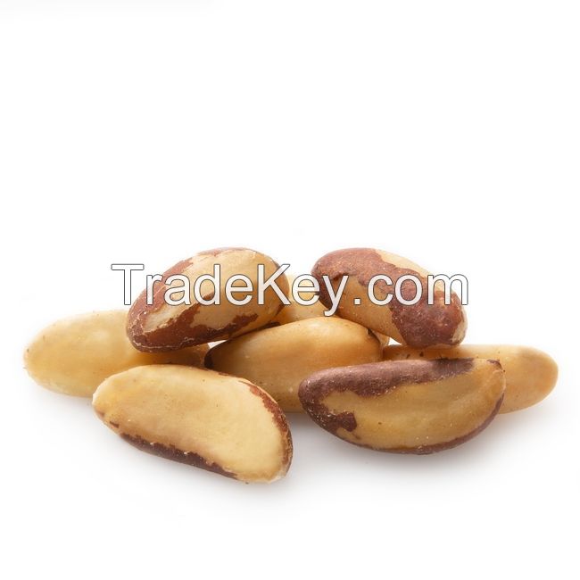 Brazil Nuts Natural Raw Nuts Shelled Mix with Medium Large and Extra Large Sizes Roasted Nuts Edible