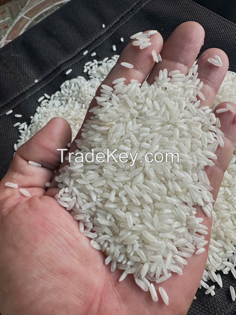 504 Rice