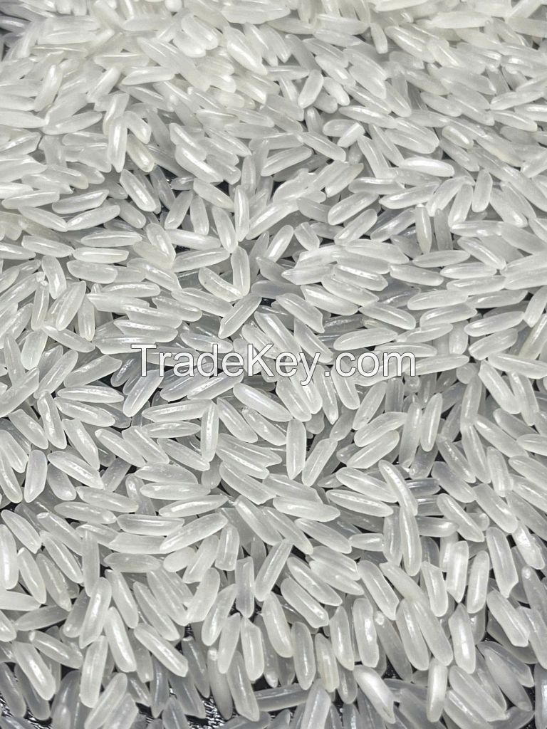 5451 Rice