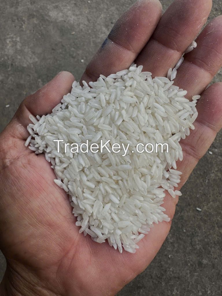 504 Rice