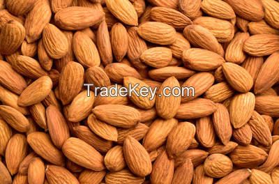 Most Popular Nut Natural Almonds 22/25 25/27 Premium Pure Quality Sweet Almond Nuts for Making Nut Chocolate