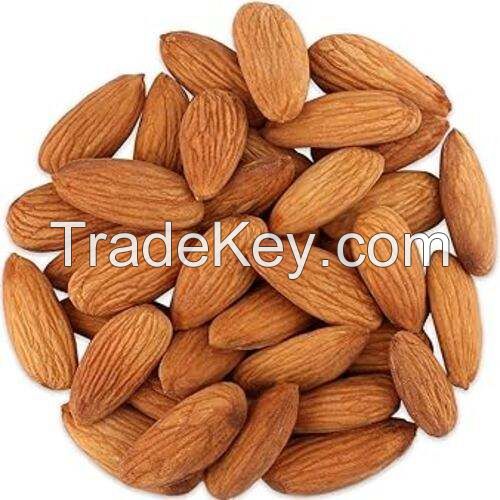 Most Popular Nut Natural Almonds 22/25 25/27 Premium Pure Quality Sweet Almond Nuts for Making Nut Chocolate