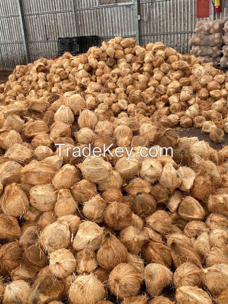Dried Coconut