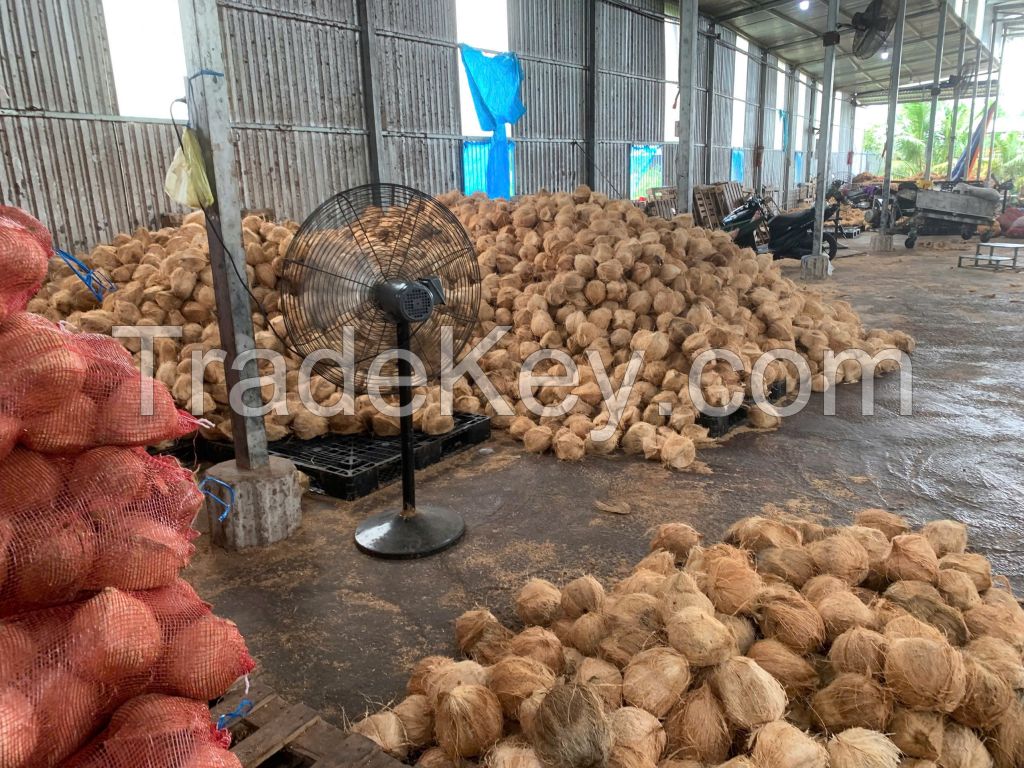 Dried Coconut