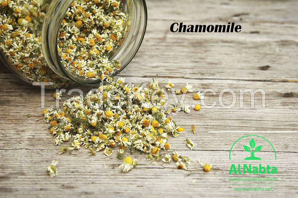 Premium Dried Jute Mallow (Molokhia)    Dried Mint   basil herbs  Chamomile Flower  Chickpea Seeds