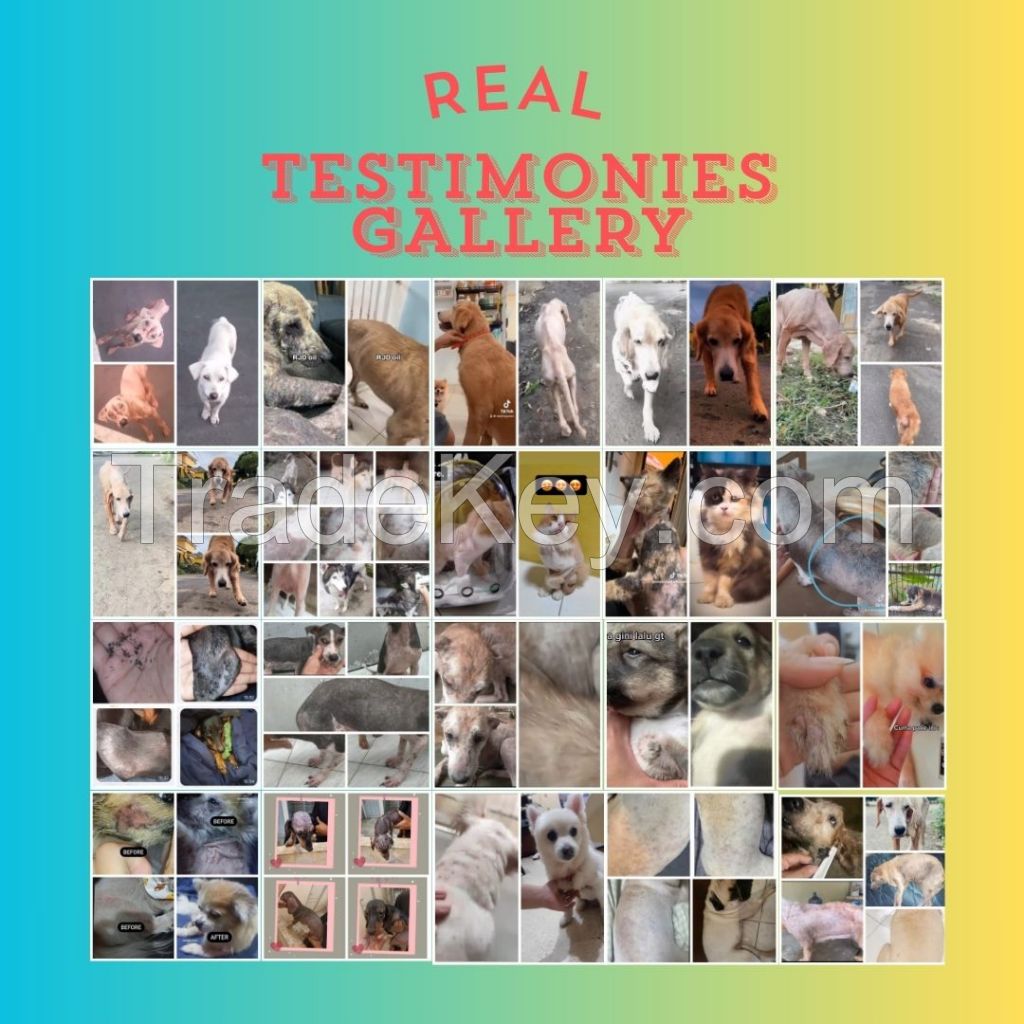 PET SKIN CARE, SUPERWORMS, HOME DECOR