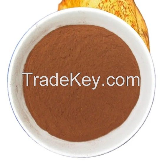 High Quality 10-12% Fat Organic Alkalized and Natural Cocoa Powder
