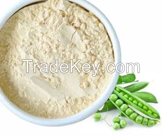 Vegan Protein Powder Pea Protein Isolated 80%for Sport Supplement Powder