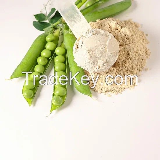 Vegan Protein Powder Pea Protein Isolated 80%for Sport Supplement Powder