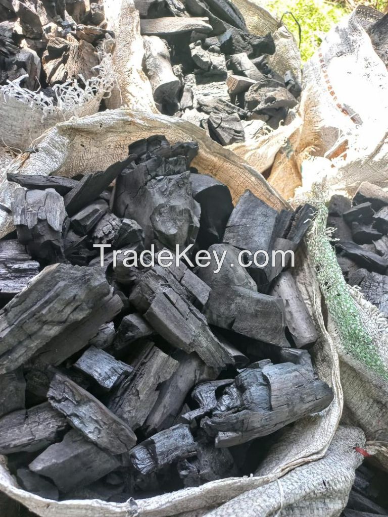 High Quality Smokeless 6-Hour BBQ Machine-Made Bamboo Hardwood Lump Charcoal for Export & Hookah in Bulk