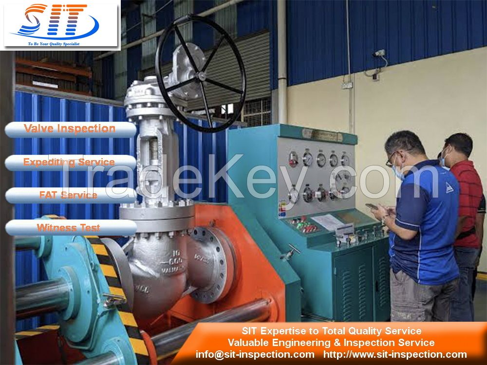 Valves Inspection
