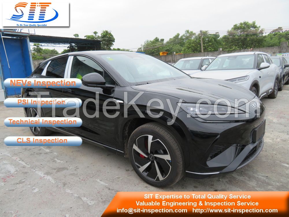 Electric Vehicle Inspection