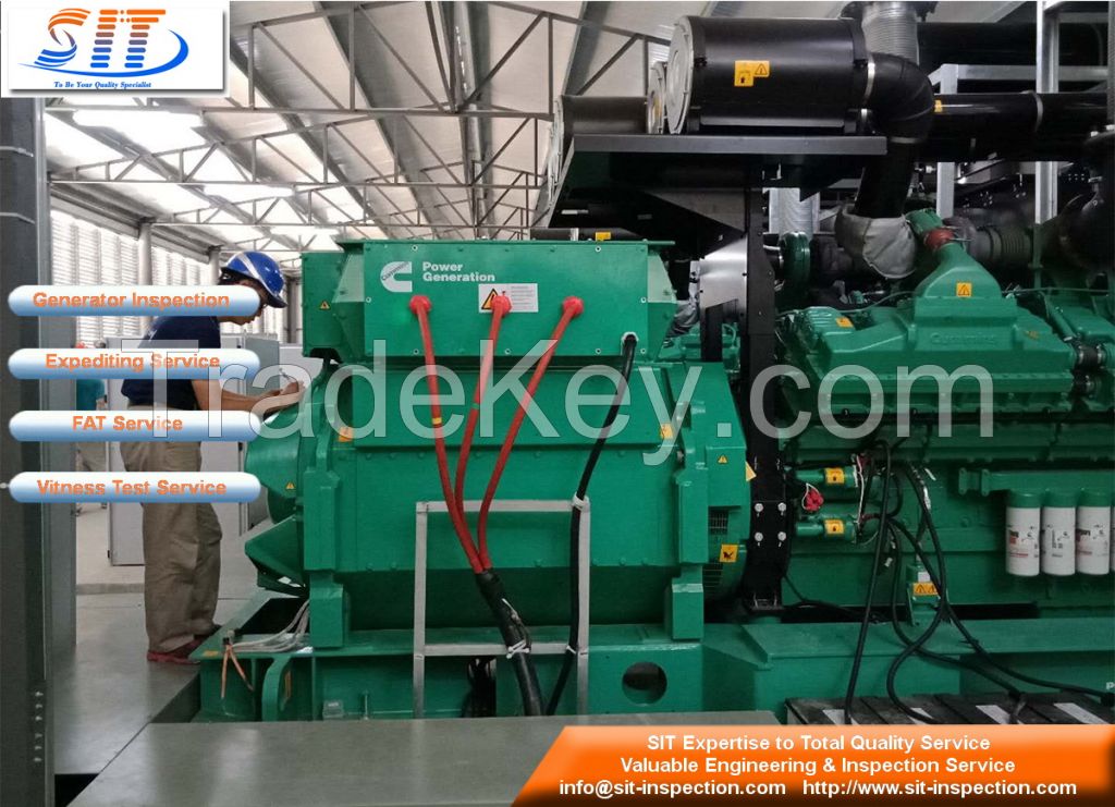 Electric Generator Inspection