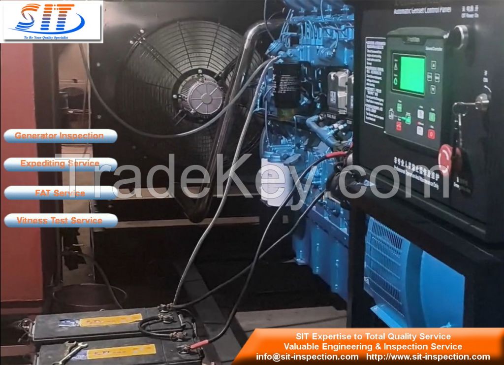 Electric Generator Inspection
