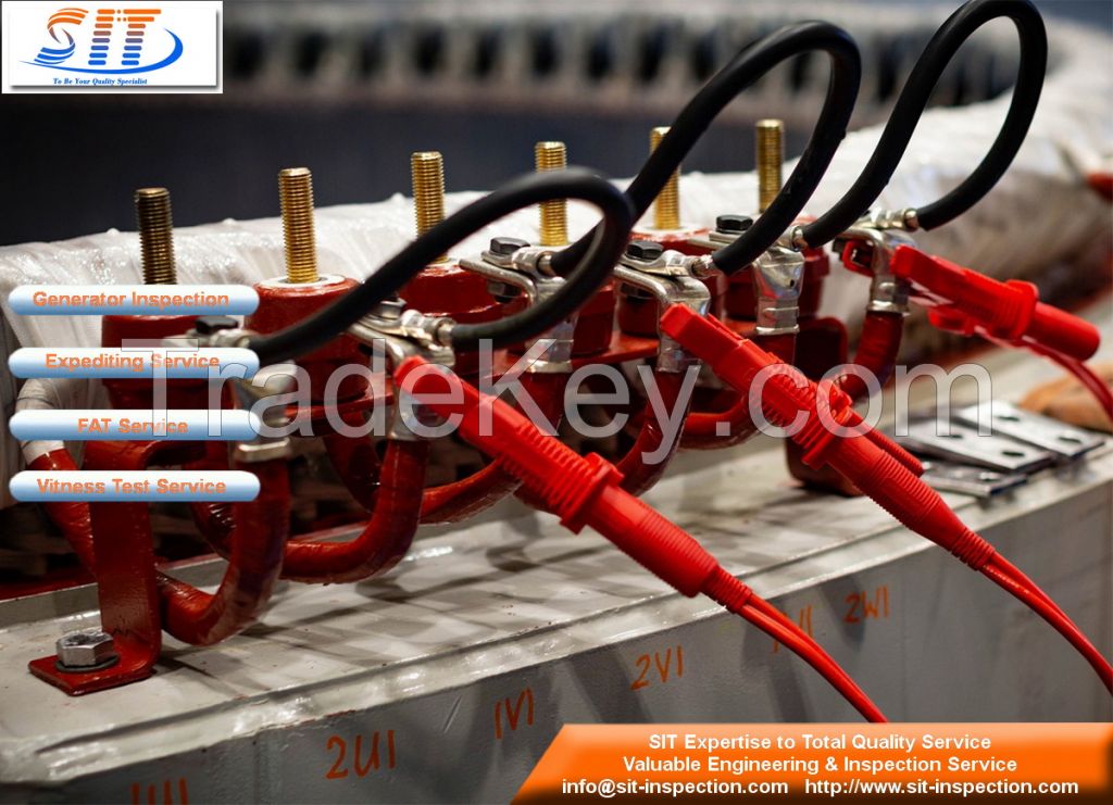 Electric Generator Inspection