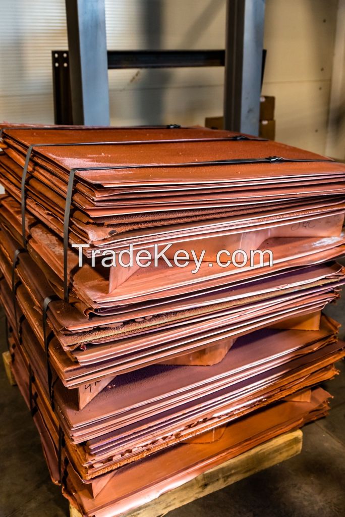 Copper cathodes