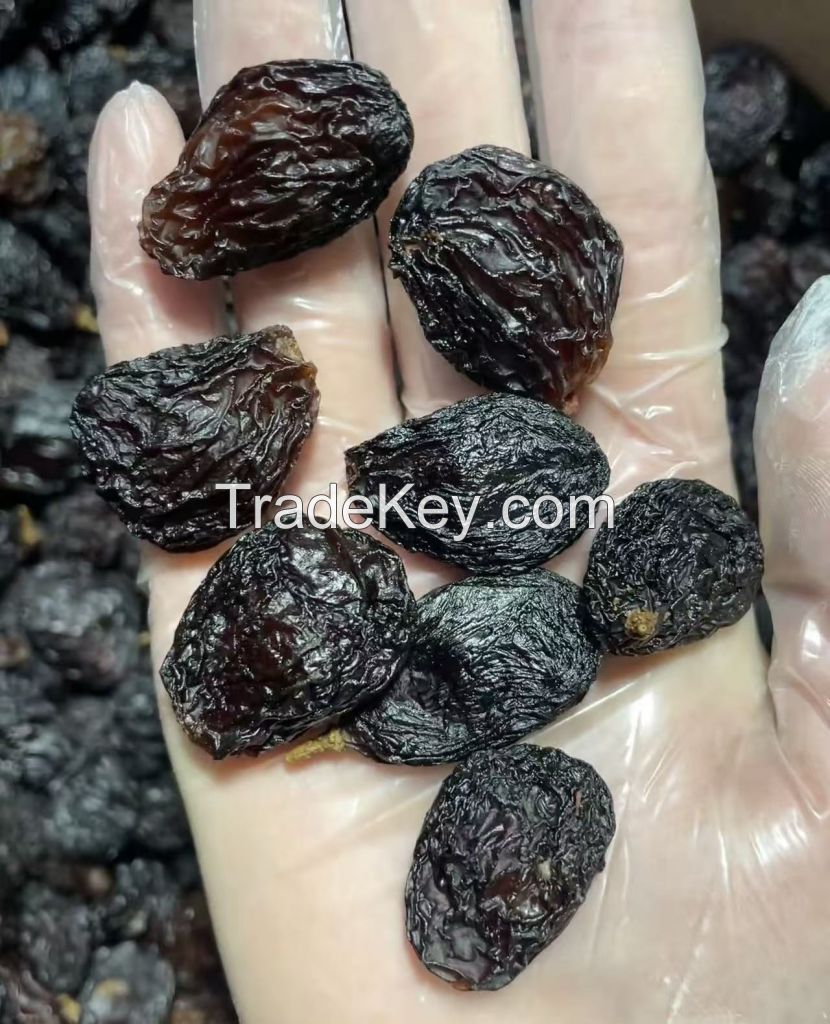 Turpan Raisin
